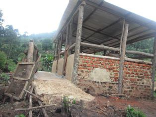 Current organic piggery structure with solar tranparent roofing to allow natural drying of the pen