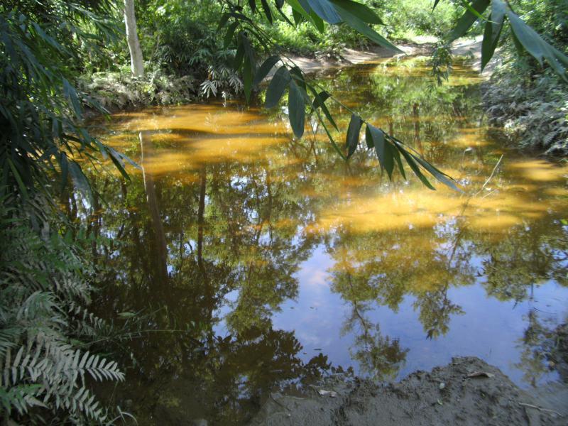 One of six ponds constructed in those community forests so that they can be used by the rhino for drinking and wallowing purposes.