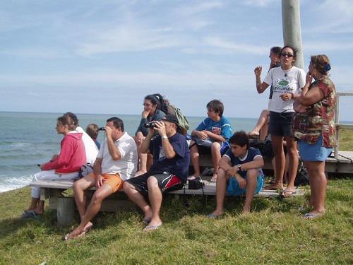 Guided visits to the Cerro Verde Area.