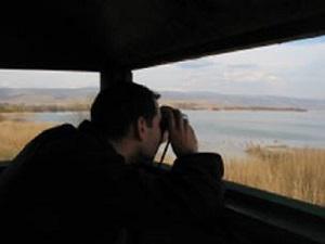 C.Tetelea bird watching in the observatory.