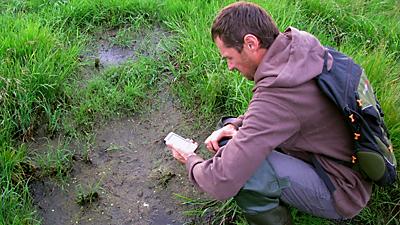 Coordinate determination of the lek in the Neman River valley.