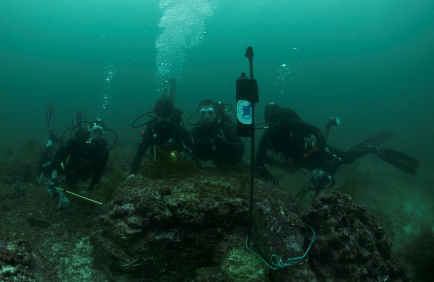 Our team and the first acoustic listening station deployed at Isla de la Plata.