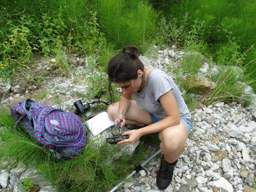 Mofometric measure.
