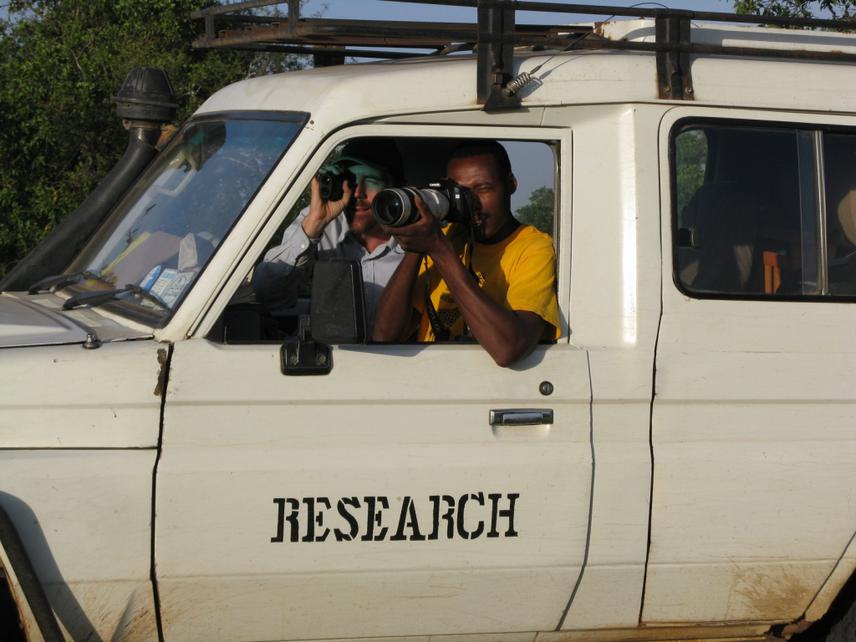 Collecting data on distribution and abundance of hoofed mammals using distance sampling.
