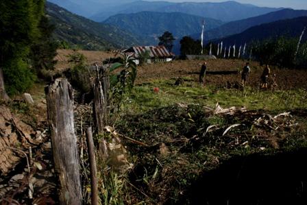 Dara Gaon- bio-fence, Nov 2013.