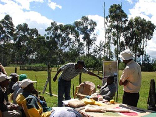 Presentations during Farmers' field day.