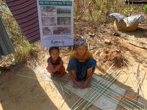 Women weaving basket by bamboo and cane.