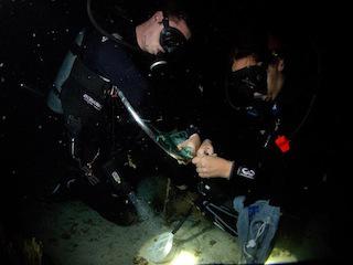 Team collecting fin clip.