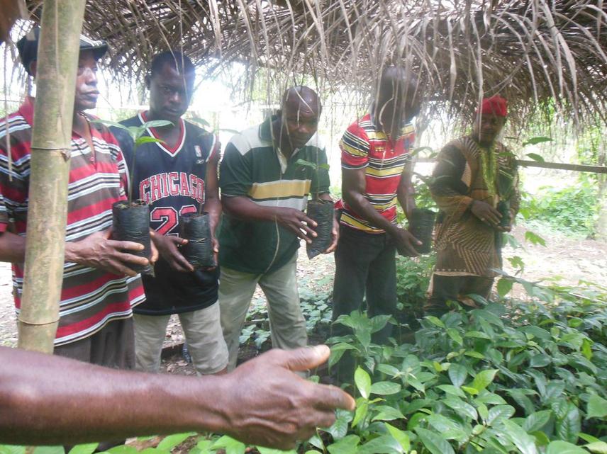 After the workshop, a nursery was established in one of the villages within the project area