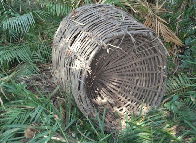 Fish trap section attached to the end of the Manatee trap.