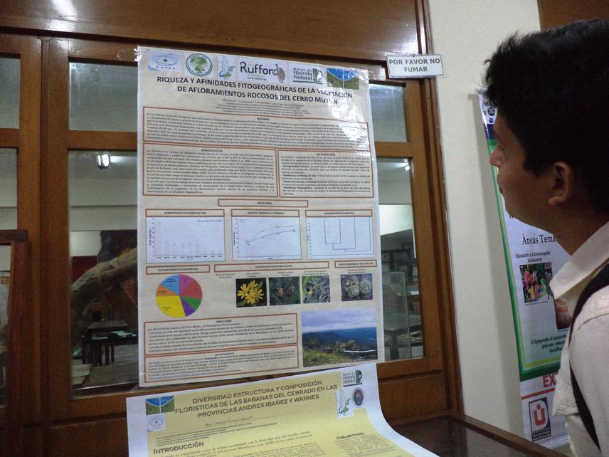 Presentation of the vegetation of rocky outcrops of Cerro Mutún.