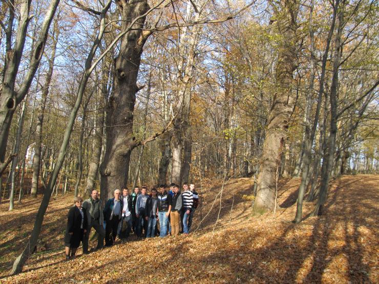 Field training for students of the Prycarpattia Forestry College (Bolekhiv town).