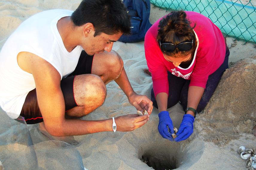 Students reviewing eggs that didn´t hatch in a relocated nest.