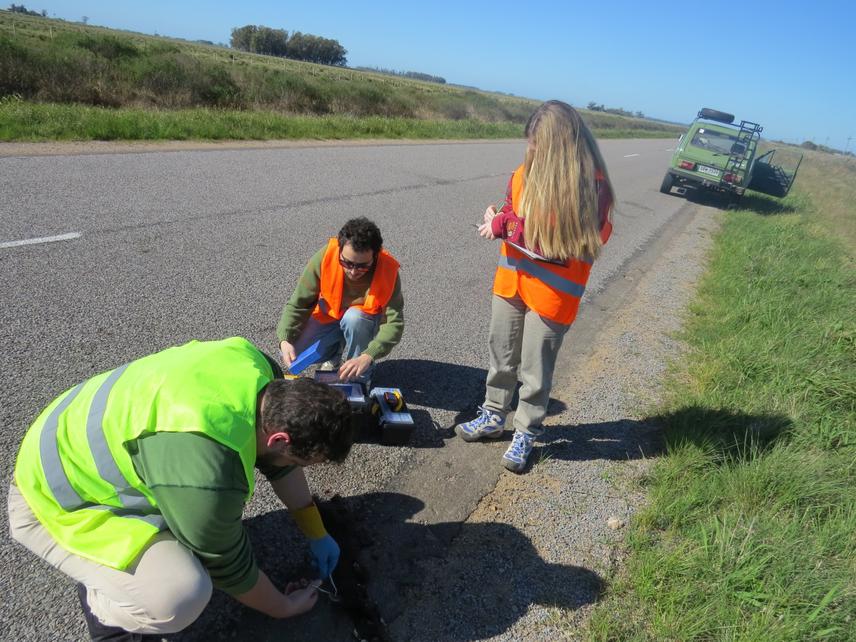 Removal of animals on route.