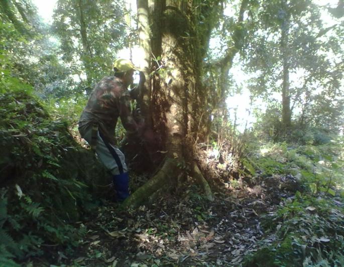 Community Forest members patrolling their forest. © Pema Namgyel