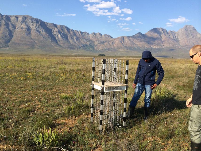 Luvuyo Dlamini (SAEON intern) and Abri de Buys (SAEON technician) test the multi mini-disc non-destructive biomass measurement technique.