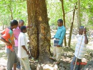 A field visit to Nyika National Park by Mr. Nthenda and some traditional healers examining a threatened plant species.