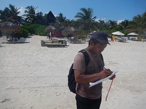 Assessing forests product use by beach front resorts.