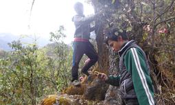 Project image