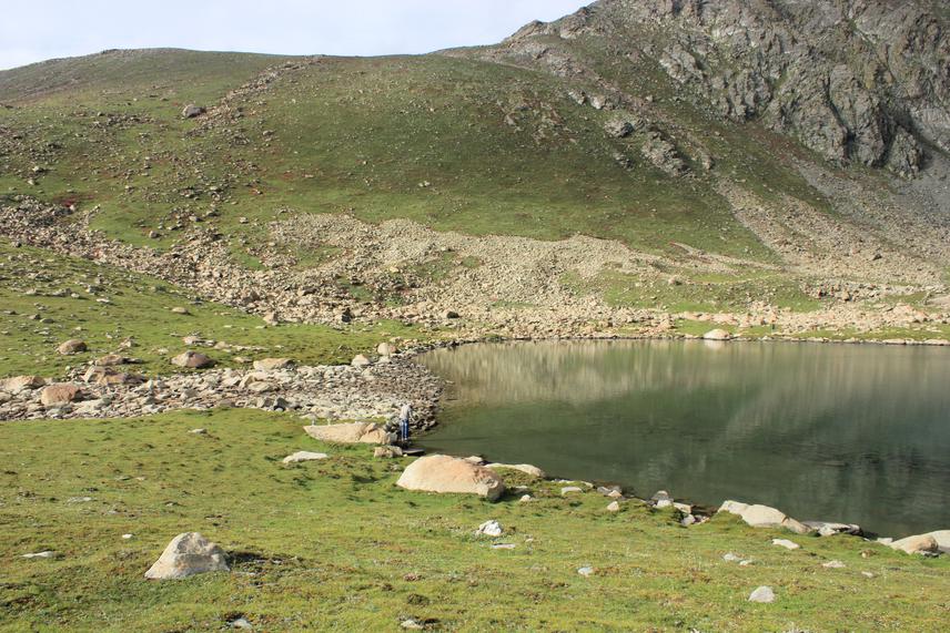 Niche of medicinal plants in Himalaya.