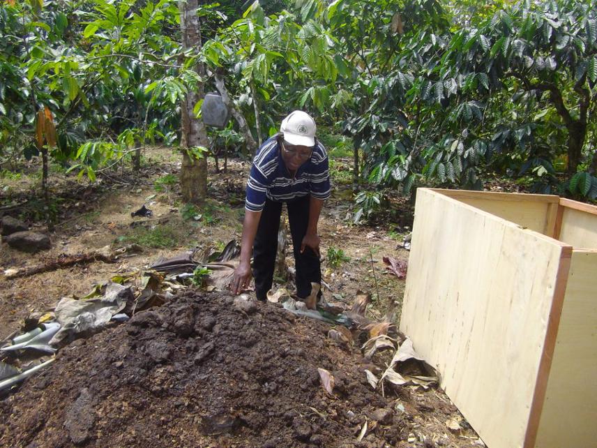 A mixed compost heap.