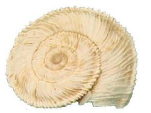 Kalitinaia perspectiva (Point s14).