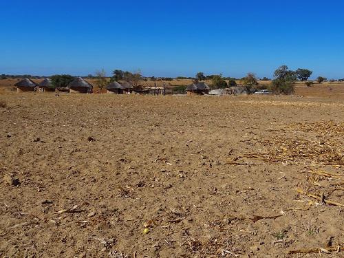 Debshan farmland.