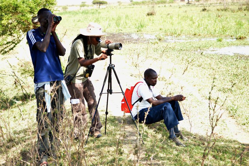 Waterfowl Census-Sawaiti Wetland January 2015.