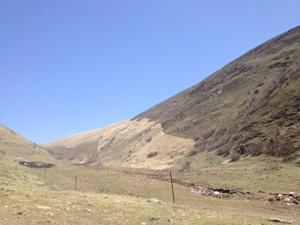 Winter pasture fencing in a Tibetan Bunting habitat. ©Li Li.