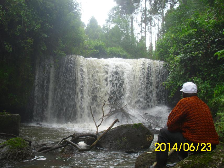 A waterfall in one of the forest.
