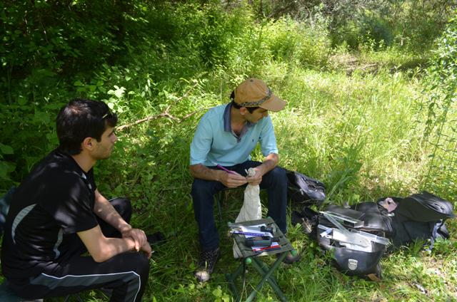 Fieldwork.