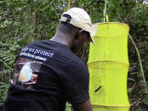 Team member inspecting a baited trap.