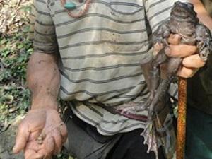 Man with Himalayan Bull Frog.