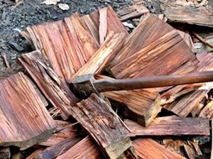Ecosystem services (wood) collected from the forest for cooking.