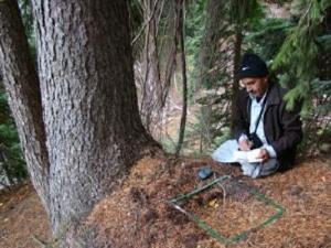 Collecting data.