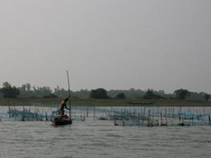 Fishing at Chilika.