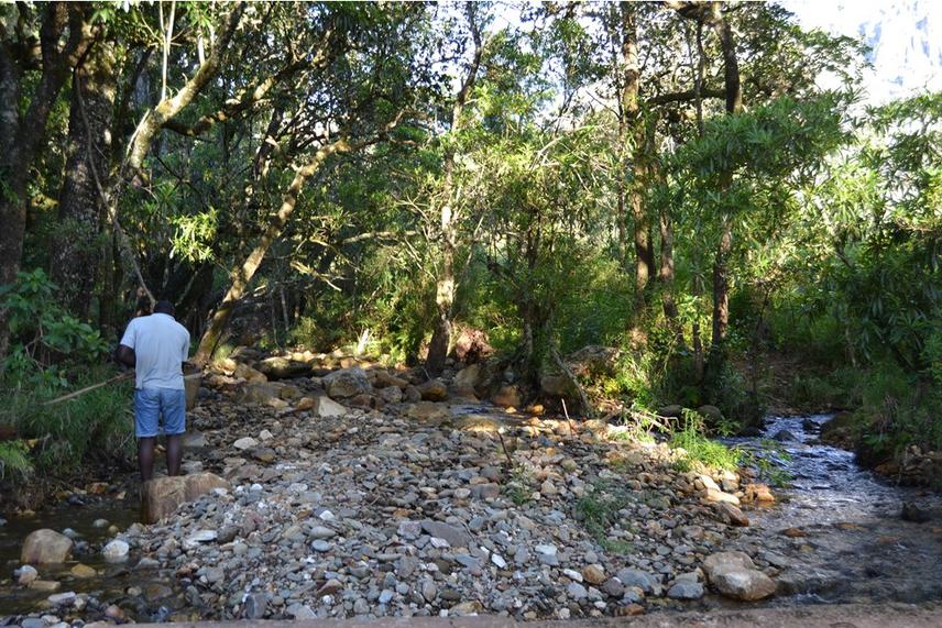 Impact of gold panning on aquatic ecosystem habitats along Bindu River, Chimanimani.