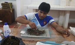 Project image