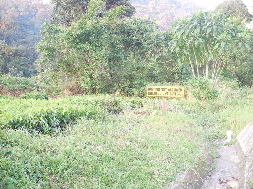 Hunting is still an issue in NNP.