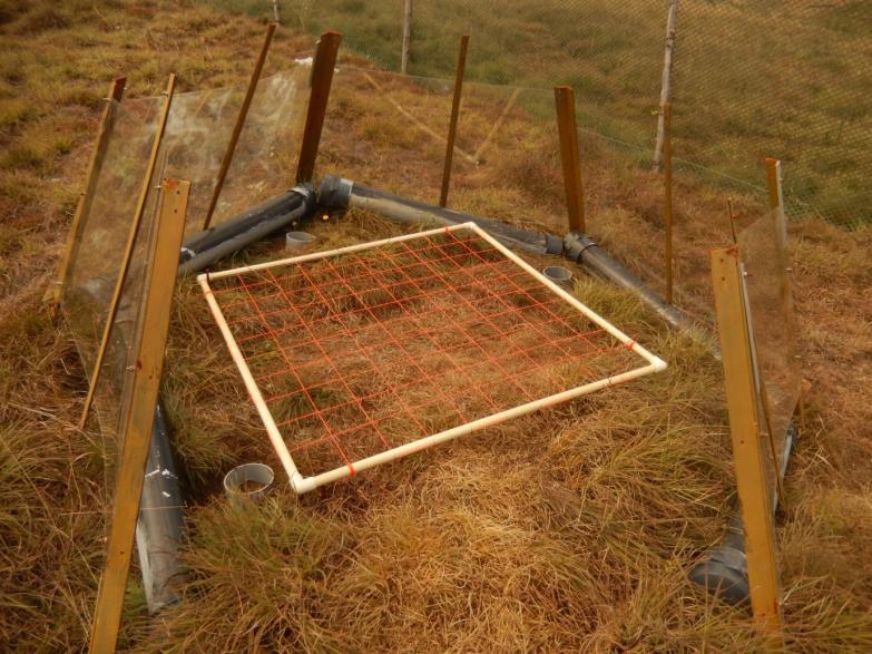 Vegetation cover being measured in an OTC.