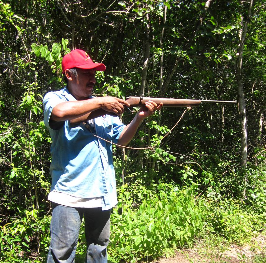 Gunshot recorded in the field.