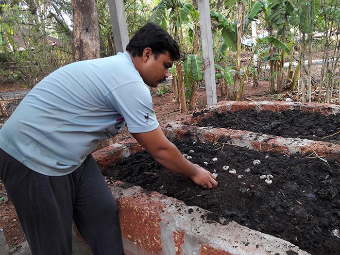 Grub Composting Demo.