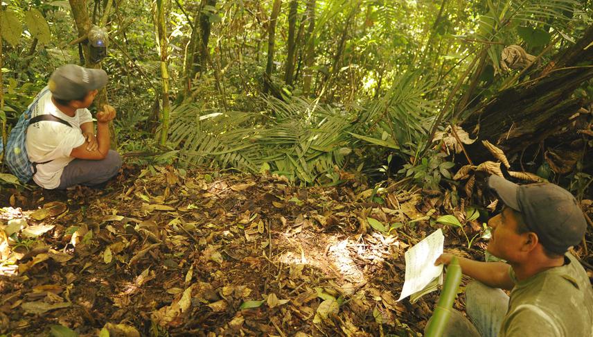 Camera trap testing.