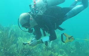 Video-transects using a GoPro Hero action camera.