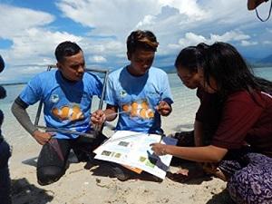 Seagrass identification.