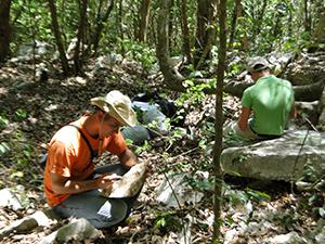 Collecting under stones in Francisco range.