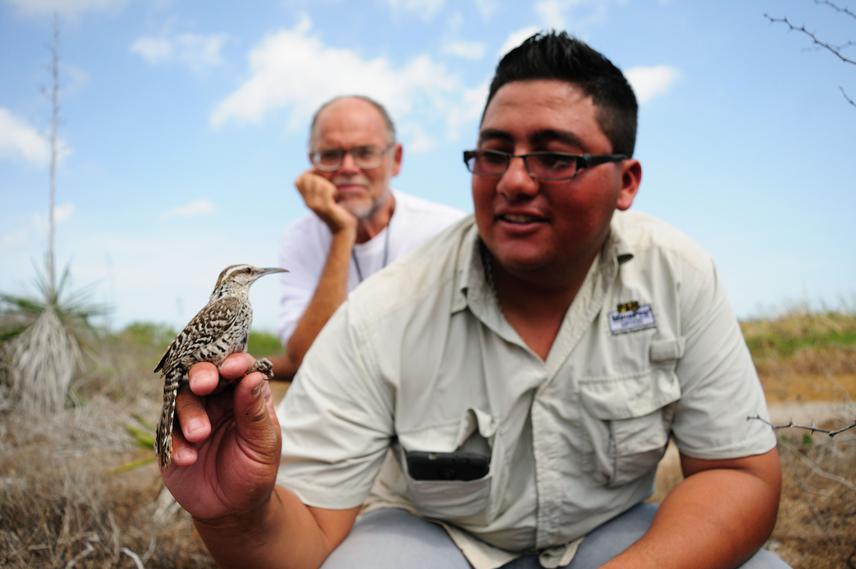 Training of guides, inhabitants of communities near to the study sites and bird observers in Ría Lagartos.