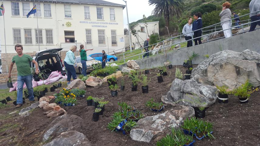 Muizenberg SAPS donated plants.