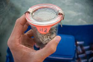 Sediment cores for porosity and grain size analysis.