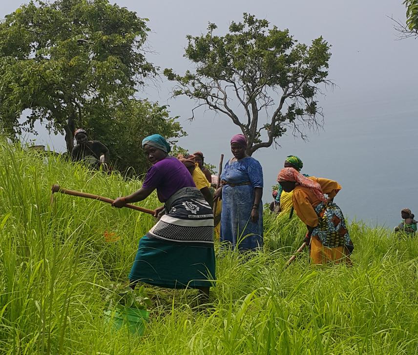 Tree planting campaign at Mwamgongo village